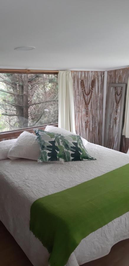 Eco Cabana Puerto Varas Ngoại thất bức ảnh