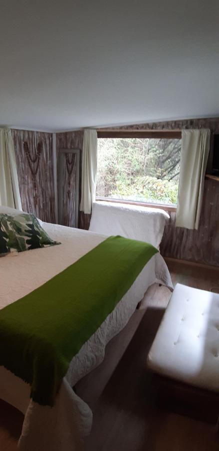 Eco Cabana Puerto Varas Ngoại thất bức ảnh