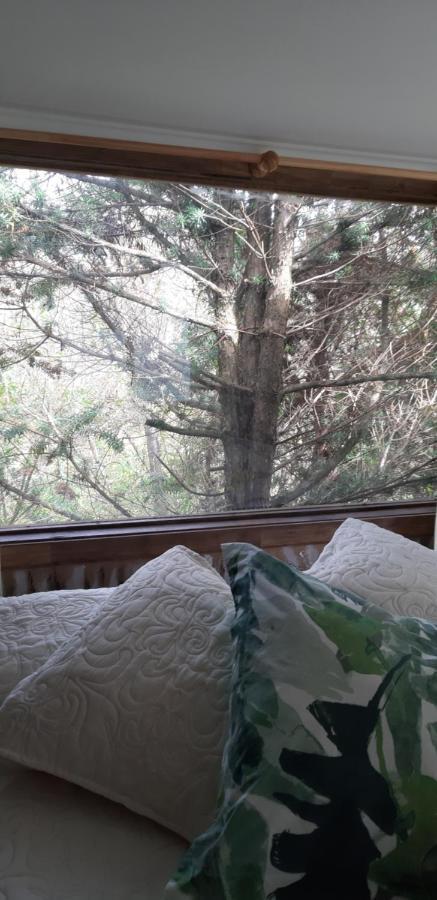 Eco Cabana Puerto Varas Ngoại thất bức ảnh