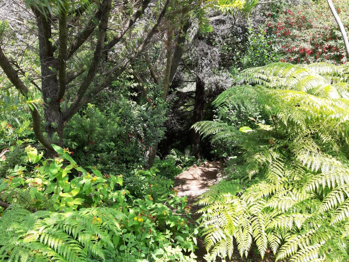 Eco Cabana Puerto Varas Ngoại thất bức ảnh